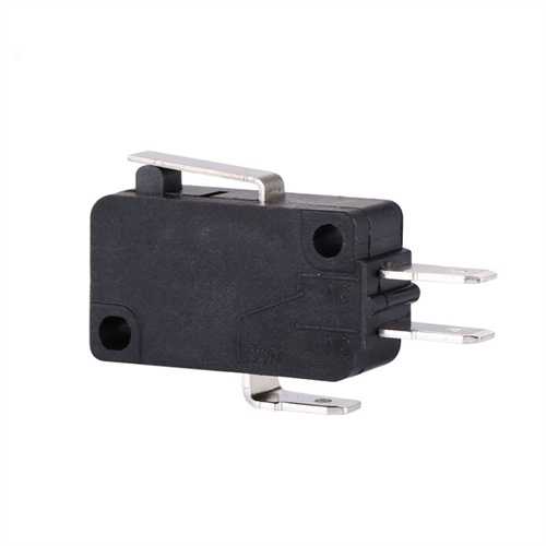 16A Micro Switch With Level