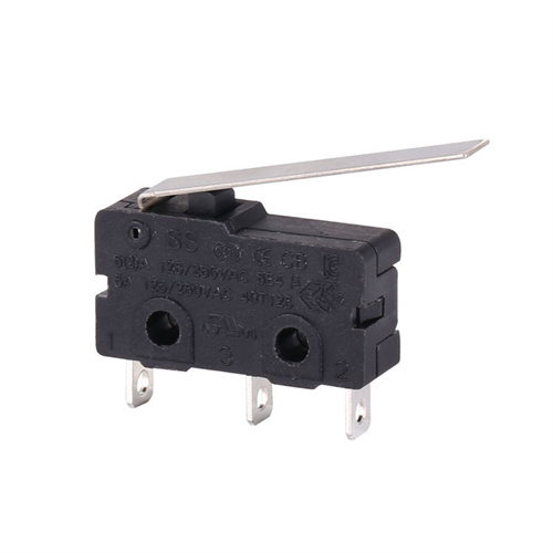 5A Micro Switch With Long Level