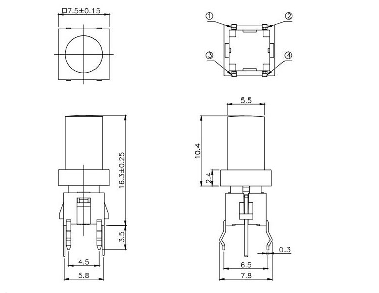 TS8-00TXX.jpg